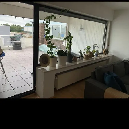 Mit Balkonterasse 4 Apartment *